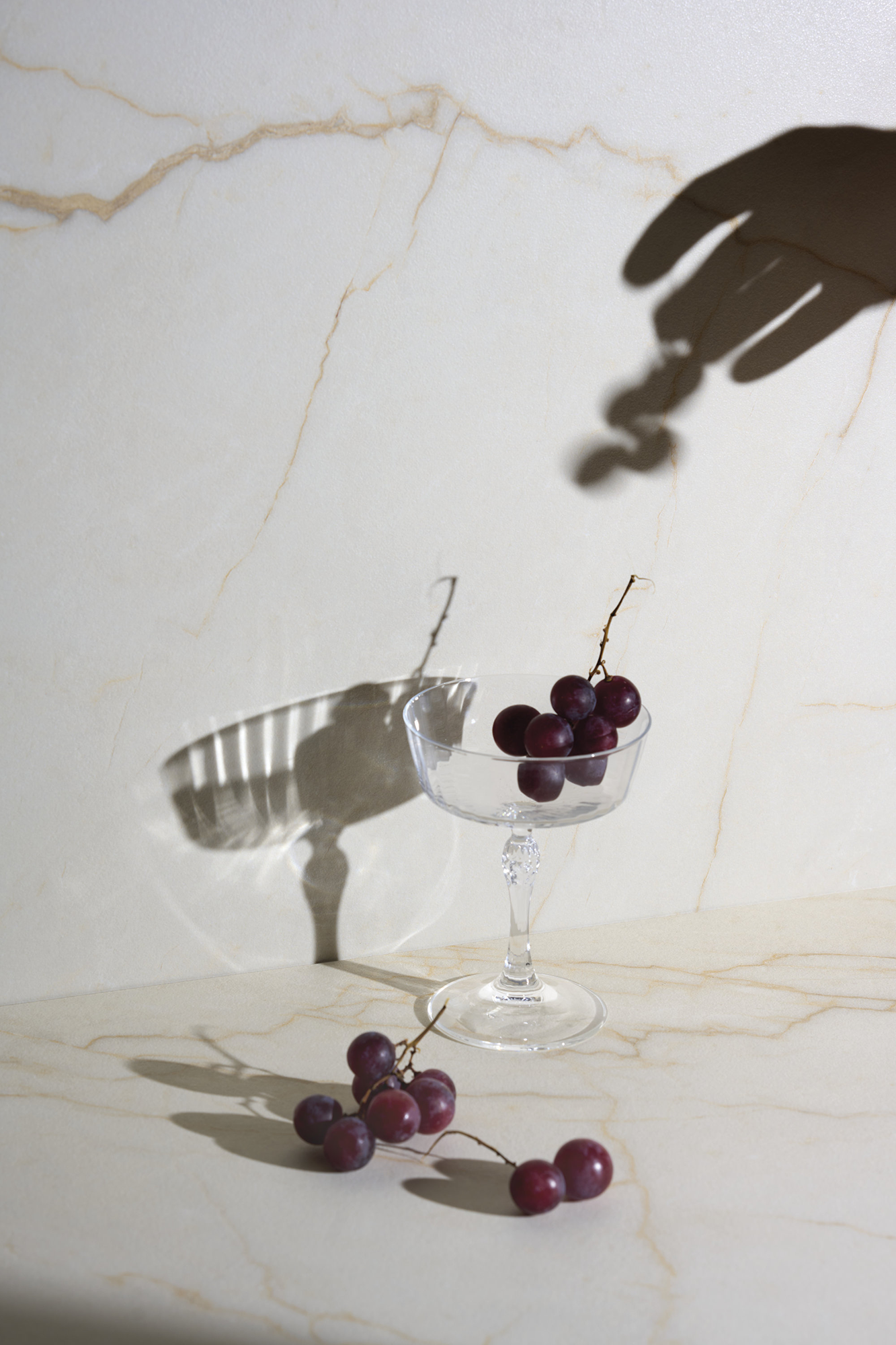 Hygienic & antibacterial